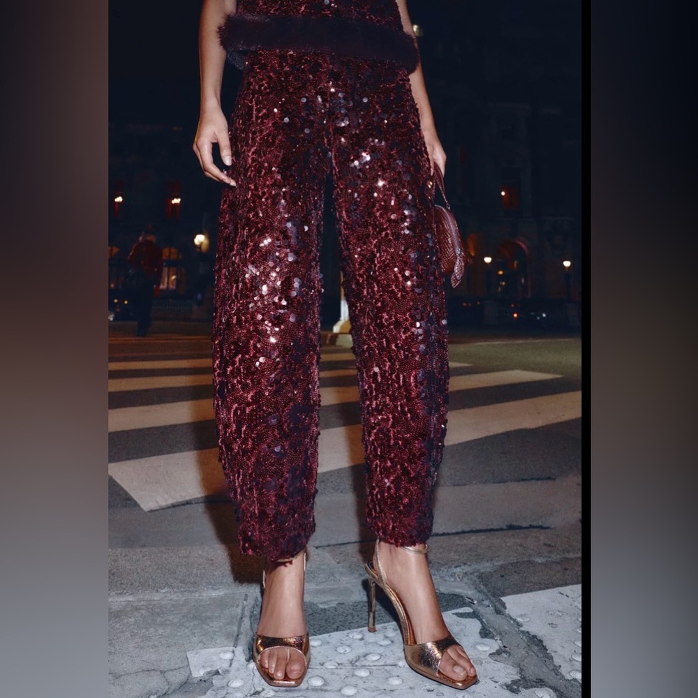 NWT Zara Sequin barrel Pants